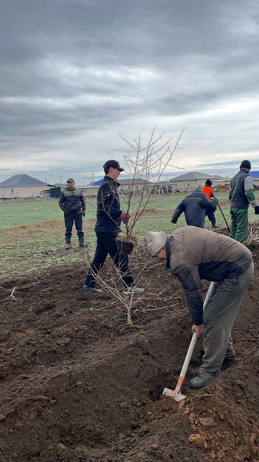 🌳 РОЖДЕНИЕ РОДНОЙ ЗЕМЛИ-НАШ СЫНОВНИЙ ДОЛГ!