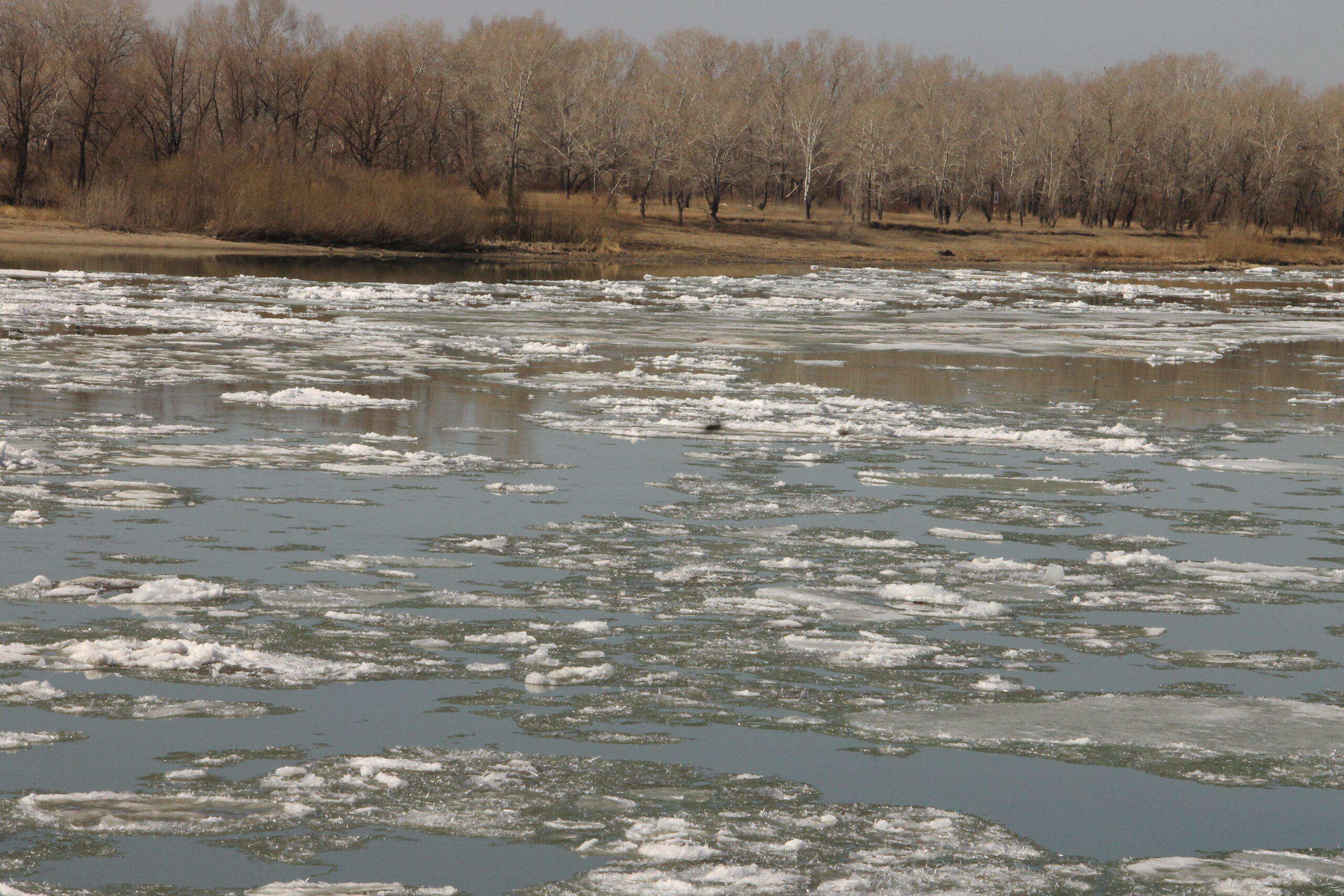 На одной из величайших рек Республики Казахстан начался ледоход – незабываемое и захватывающее зрелище