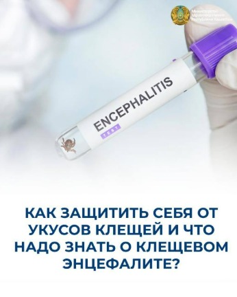 КАК ЗАЩИТИТЬ СЕБЯ ОТ УКУСОВ КЛЕЩЕЙ И ЧТО НАДО ЗНАТЬ О КЛЕЩЕВОМ ЭНЦЕФАЛИТЕ?