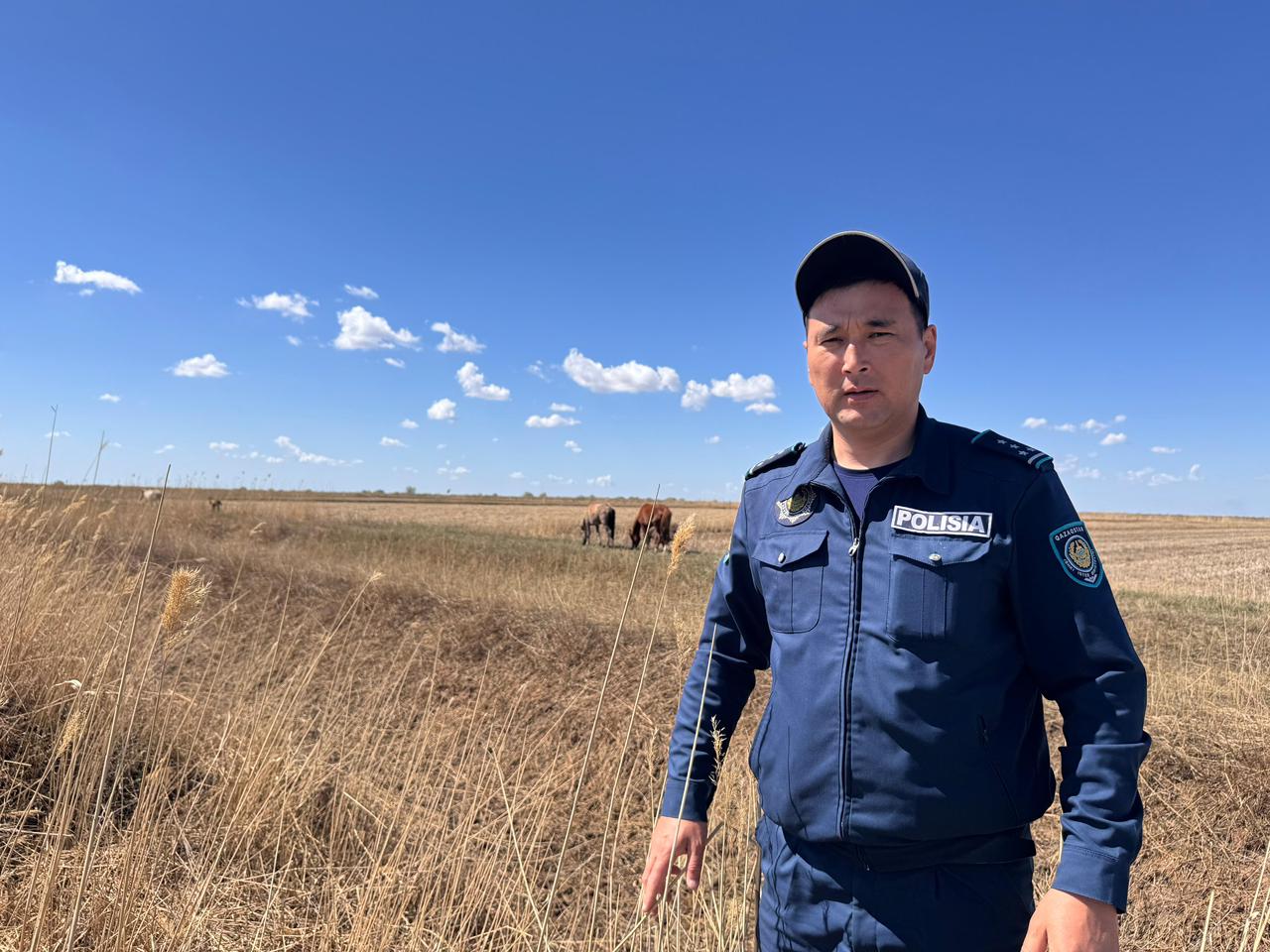 Кызылординские полицейские вернули владельцу 5 пропавших лошадей