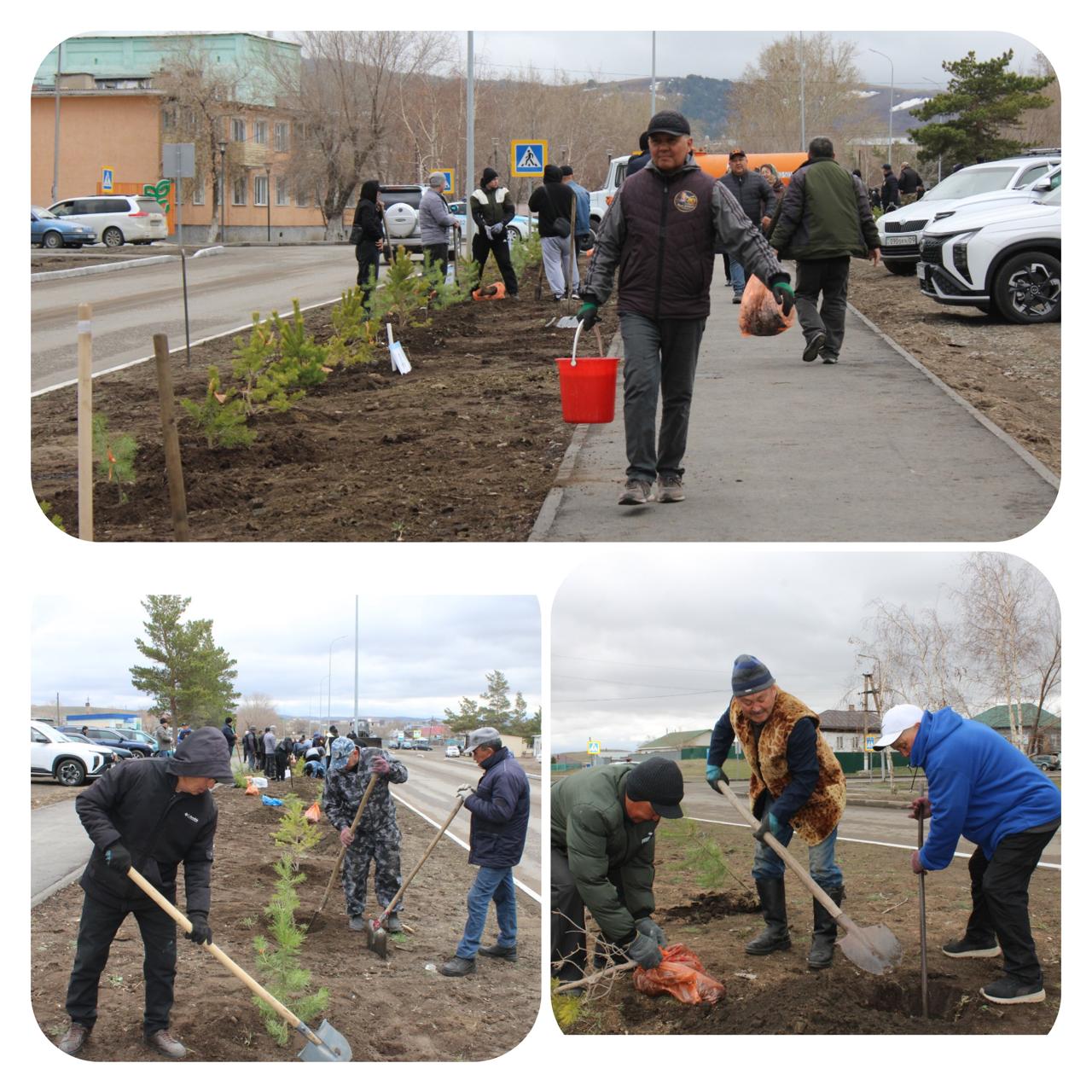 “ТАЗА ҚАЗАҚСТАН ” АКЦИЯСЫ АЯСЫНДА БАТЫРЫМЫЗДЫҢ ҚҰРМЕТІНЕ -100 ТҮП ҚАРАҒАЙ !