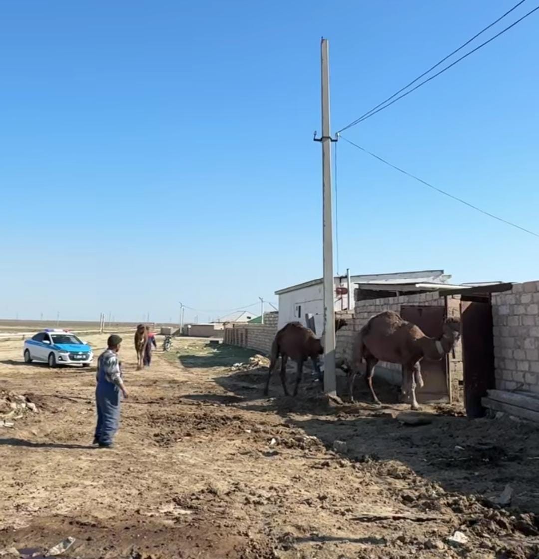 Профилактика правонарушений: проверены фермерские хозяйства региона