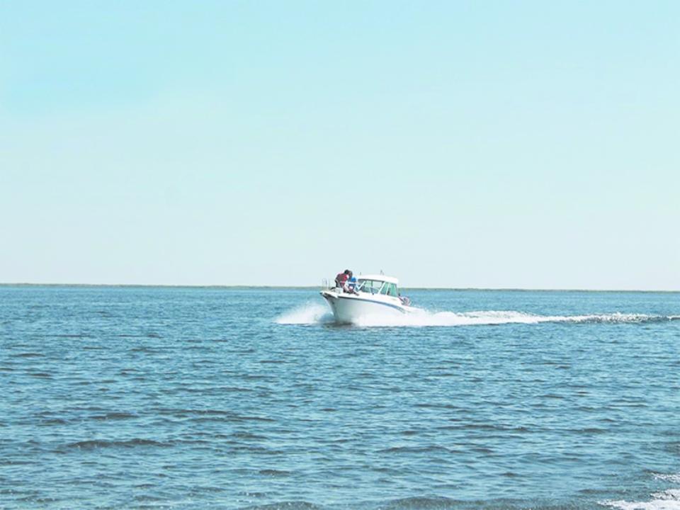 В Жетісу земельные участки на берегу озера Балхаш будут предложены инвесторам через открытый аукцион