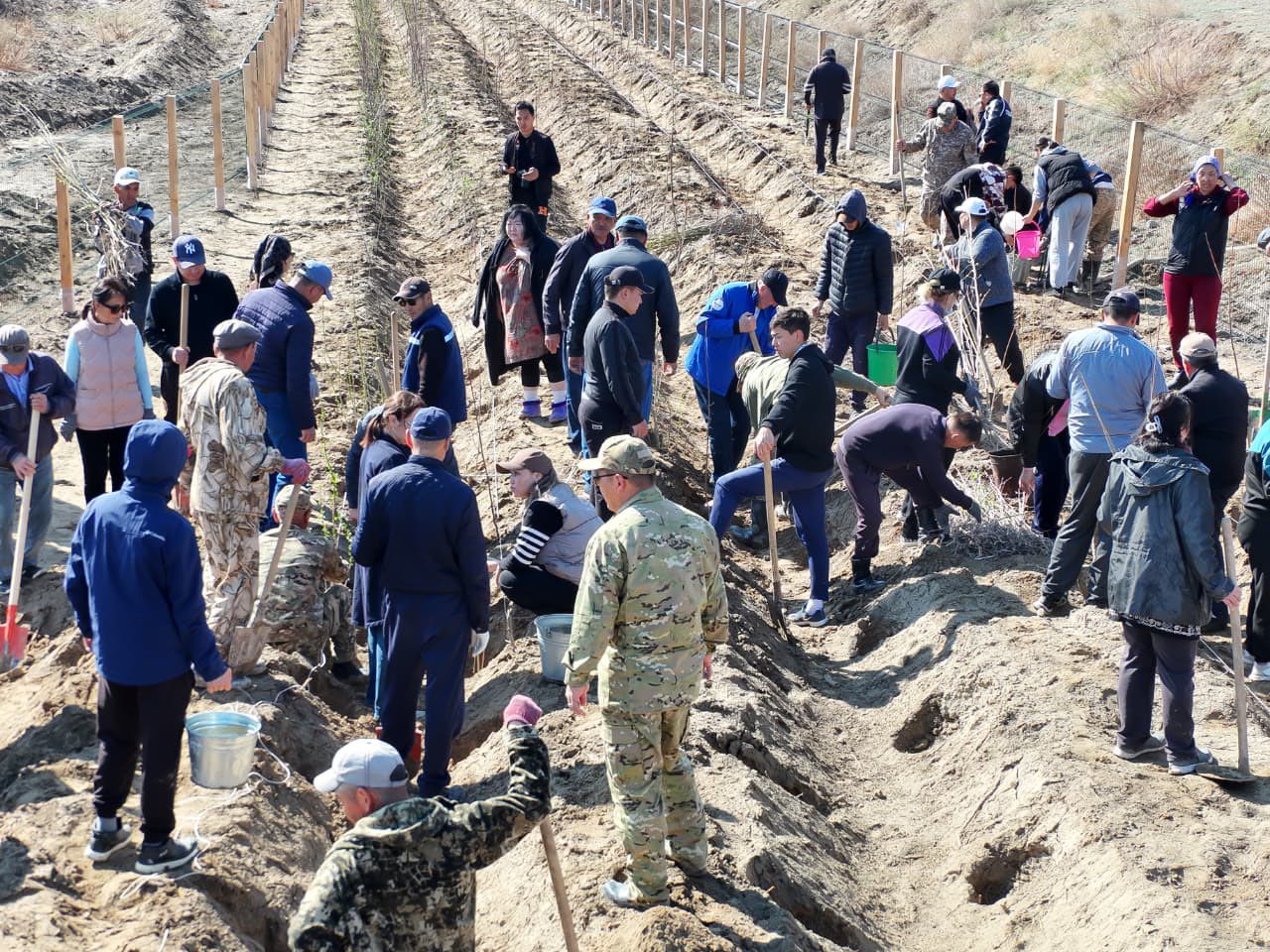 В рамках экологической акции » Чистый Казахстан ” высажено 2100 саженцев