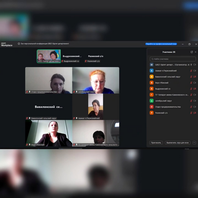 Проведена встреча с отделом предпринимательства Шемонаихинского района