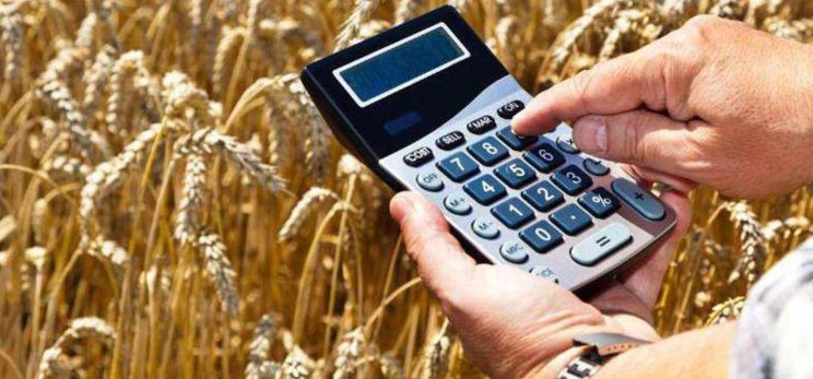 Объявление в государственной информационной системе субсидирования «Gosagro.kz»