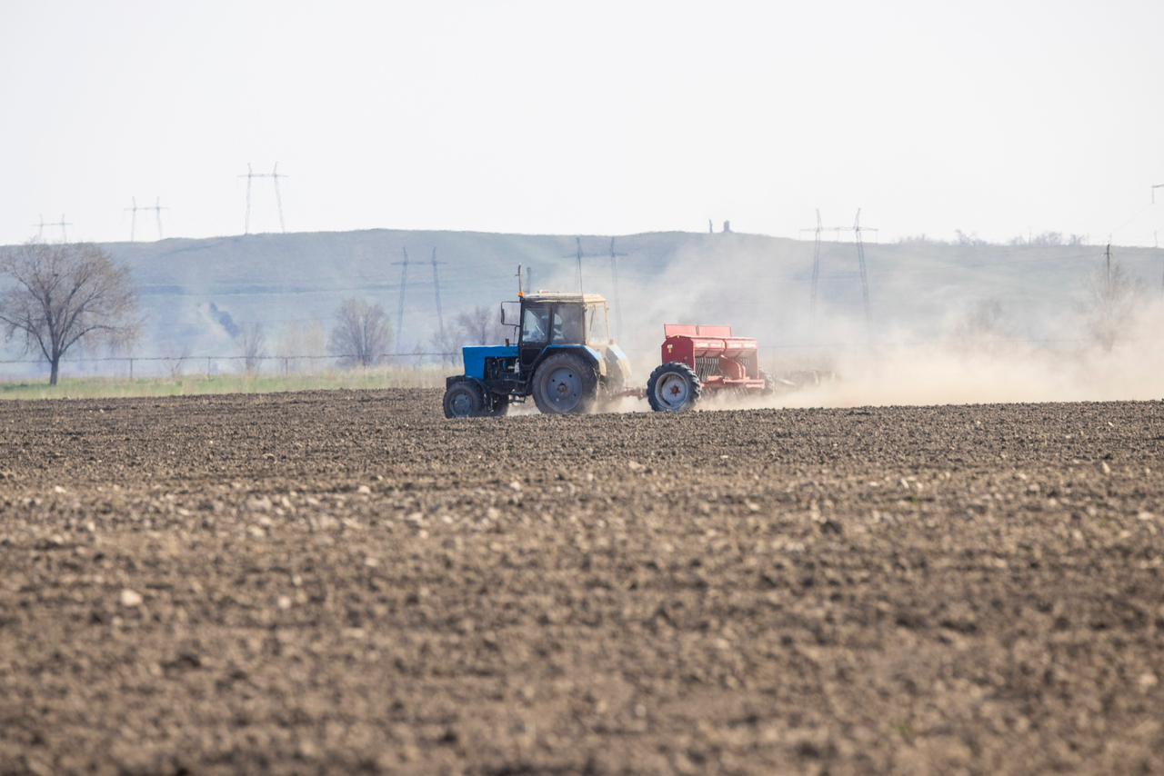 В Жамбылском районе началась весенняя посевная кампания