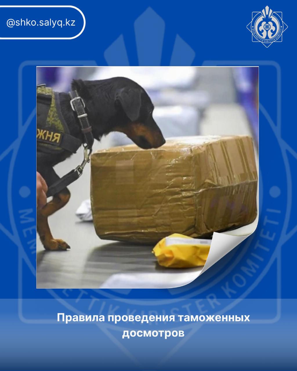 Правила проведения таможенных досмотров