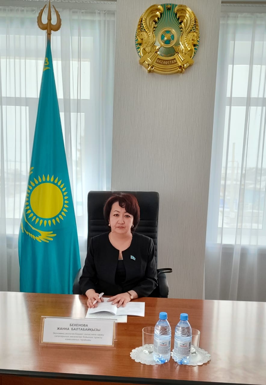 Совместное заседание постоянных комиссий маслихата Жамбылского района