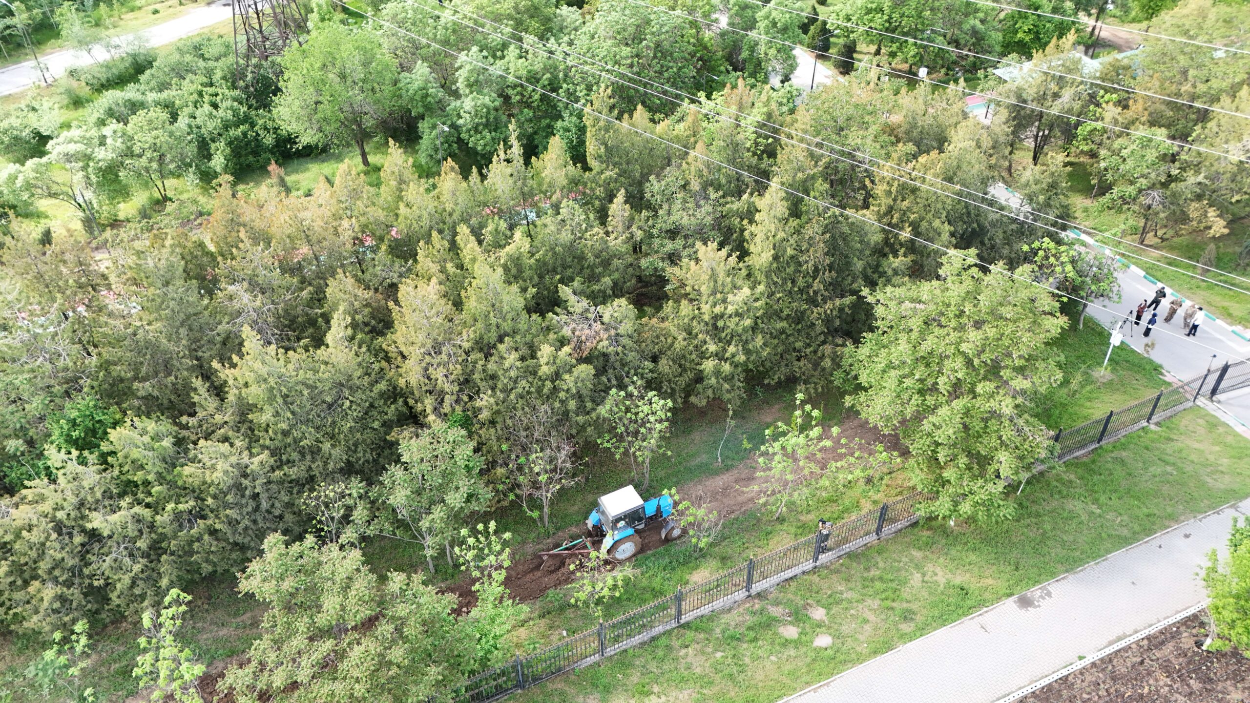 Профилактика лесных и степных пожаров — общая задача