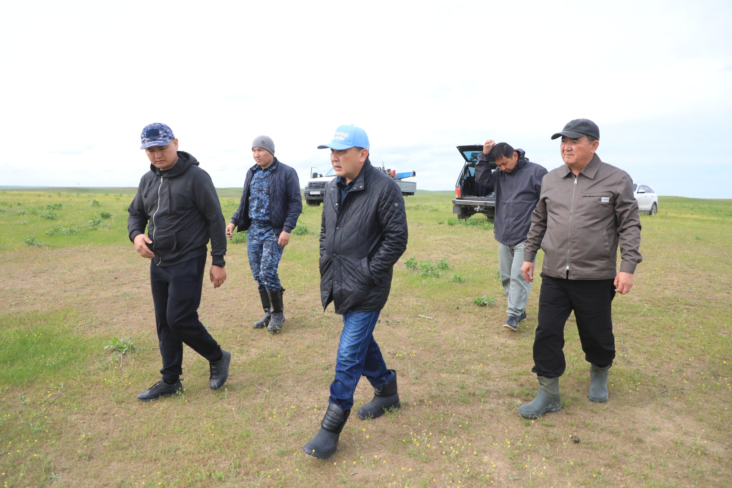 САРЫАГАШ: ПРОВОДЯТСЯ РАБОТЫ ПО ХИМИЧЕСКОЙ ОБРАБОТКЕ ПРОТИВ САРАНЧИ