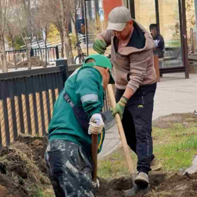 Зелёный фонд района «Сарыарка» пополнится более чем 2 тысячами деревьев
