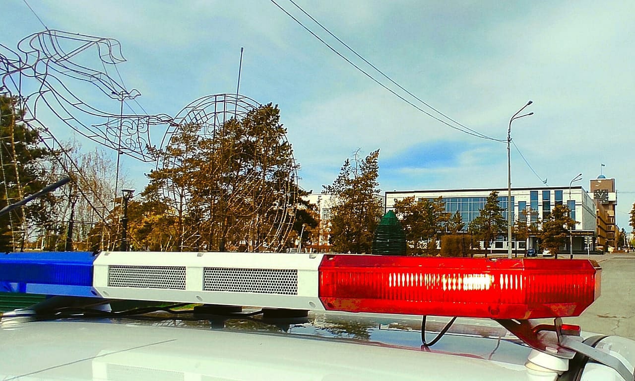 Цена беспечности: под Экибастузом пресекли вольный выпас лошадей