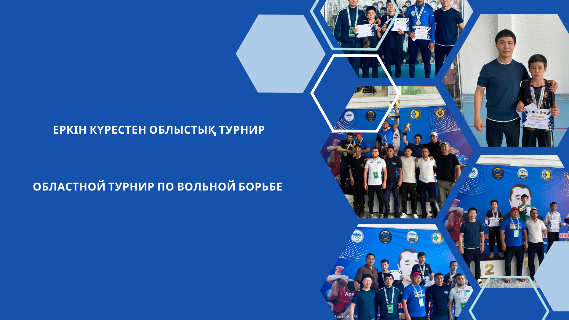 Областной турнир по вольной борьбе