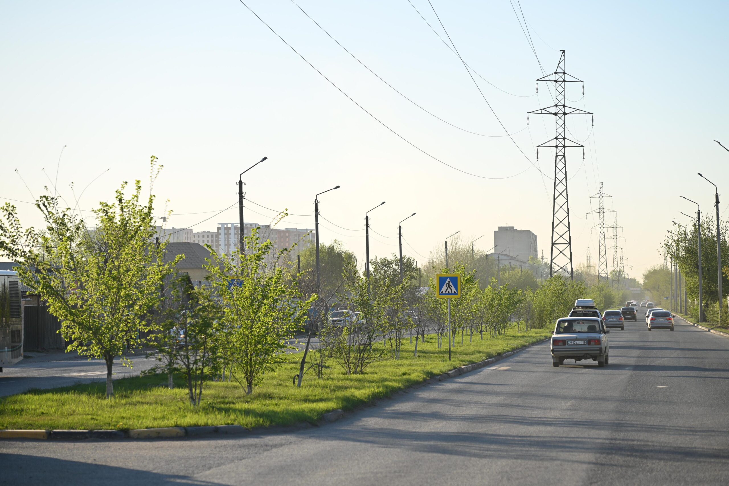 В этом году в Семее высадят 8 тысяч деревьев