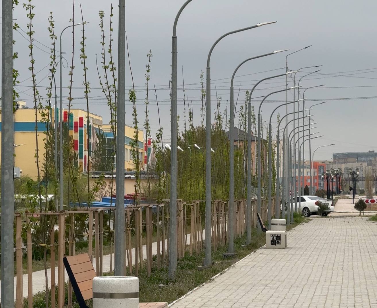 🌱🌿 В Актау с приходом весны зелёные насаждения, высаженные осенью 2025 года, начали активно пробуждаться, распускаться и покрываться свежей листвой