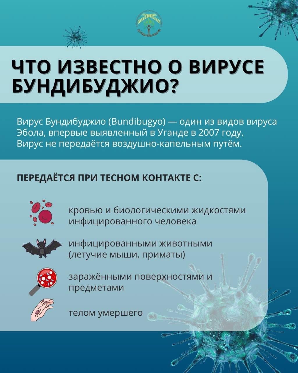 📌 Эбола: что важно учитывать при поездках за границу