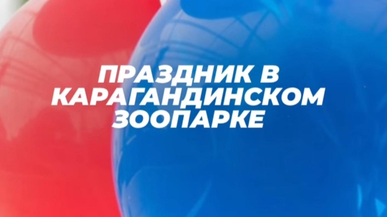 Пенное шоу, фокусы и ростовые куклы: праздник для детей пройдёт в зоопарке Караганды 1 июня