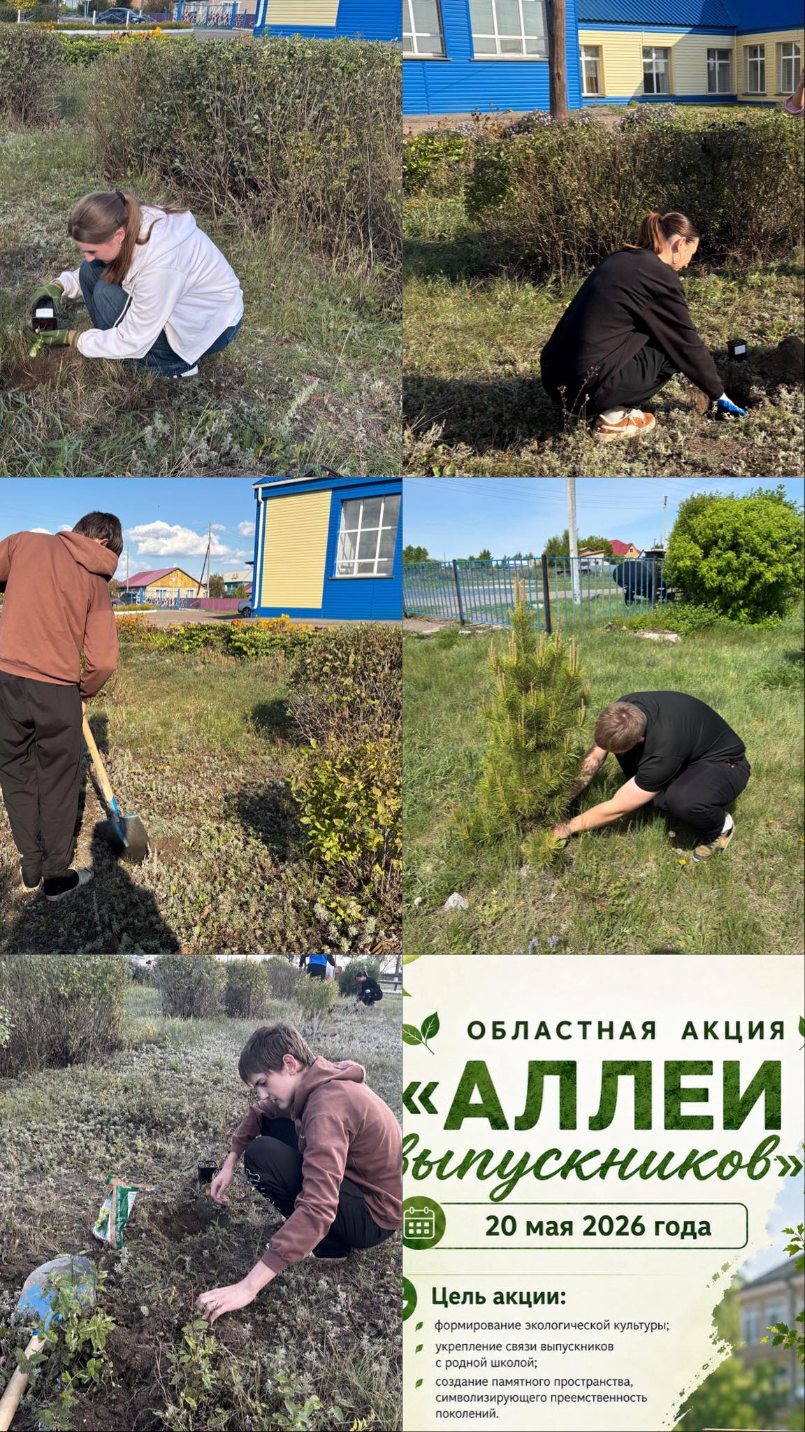 В рамках областной акции «Аллея выпускников» учащиеся 11 класса КГУ «Нежинская средняя школа» приняли участие в благоустройстве пришкольной территории.