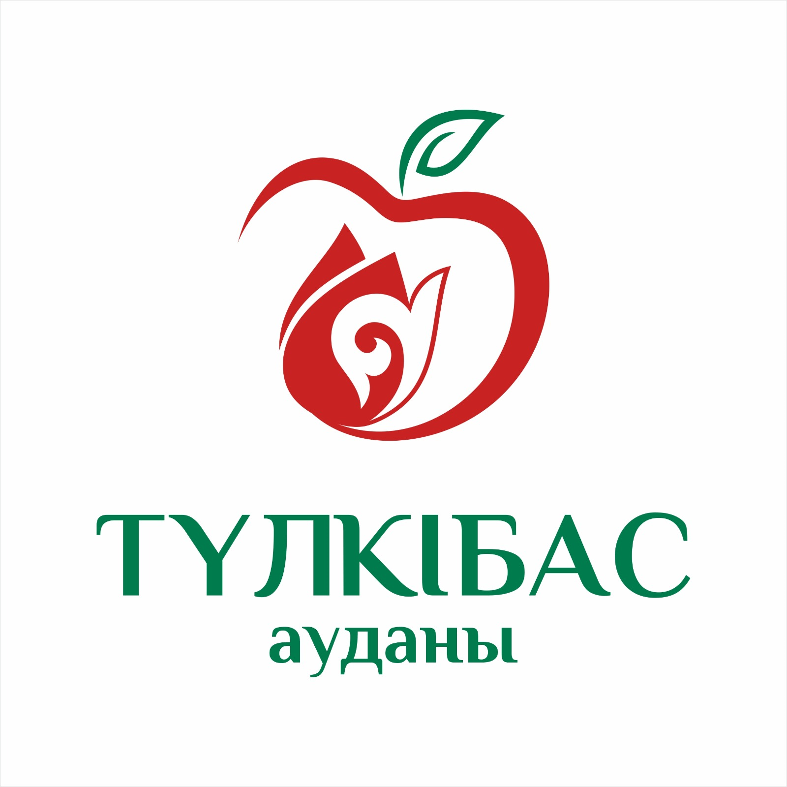 Түлкібас ауданының логотипін бекіту