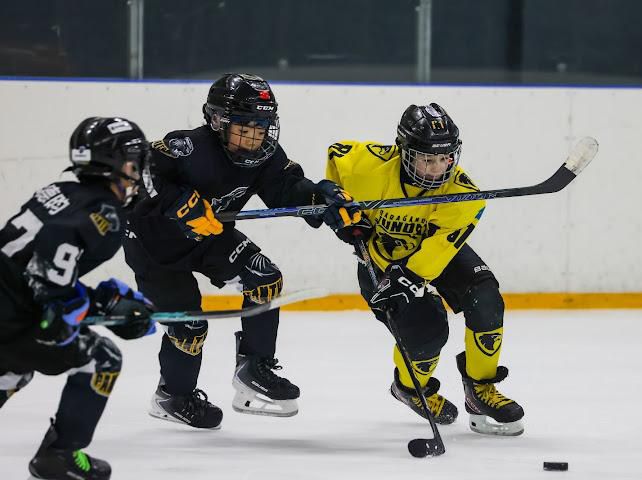 Более 200 юных хоккеистов из 5 стран приняли участие в турнире Almaty Nova Cup 2026
