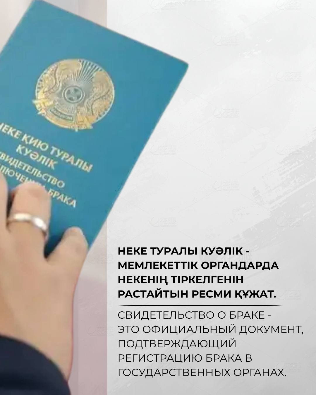 Что такое Актовая запись, зачем она нужна и почему именно она является основой для выдачи официальных документов.