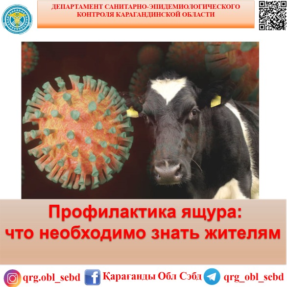 Профилактика ящура: что необходимо знать жителям