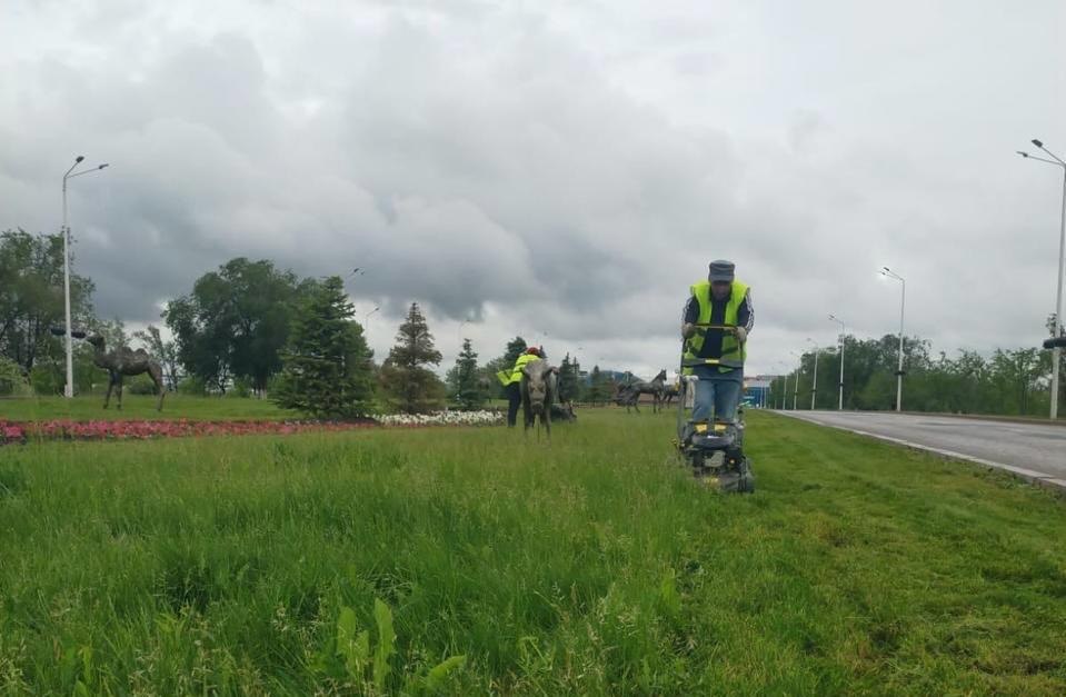 После дождей в Актобе заметно преобразилась зелёная зона города