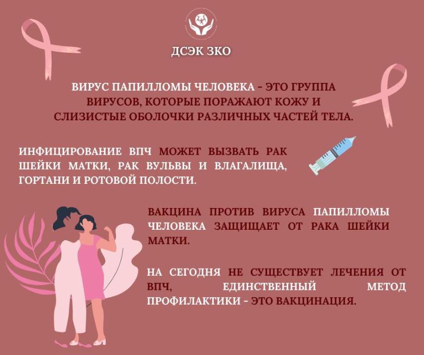 Профилактика вируса папилломы человека