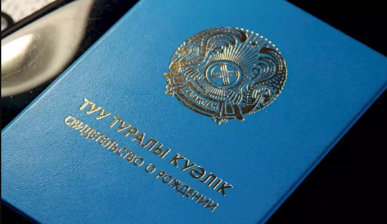 Свидетельство о рождении новорожденного: как оформить первый документ ребенка