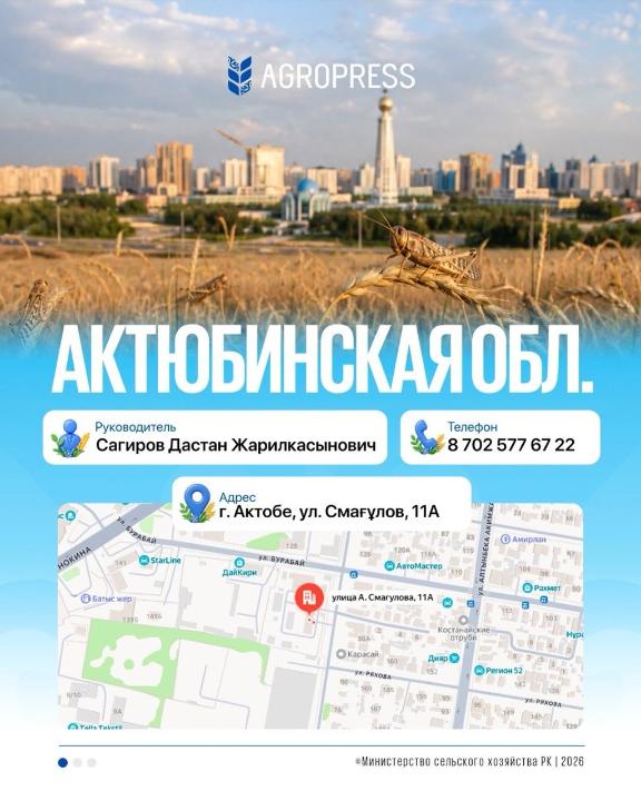 В Актюбинской области ведется фитосанитарный мониторинг саранчовых вредителей