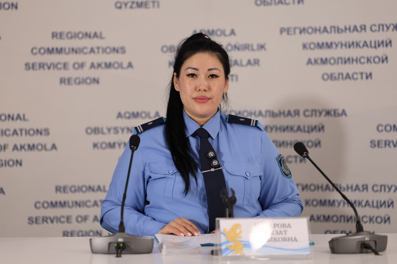 В Акмолинской области с начала года зарегистрировали более 400 интернет-мошенничеств