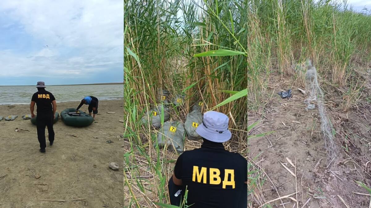 В Иргизском районе пресечена незаконная добыча рыбы на особо охраняемой природной территории
