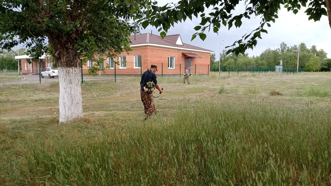 Молодёжь за Таза Қазақстан!