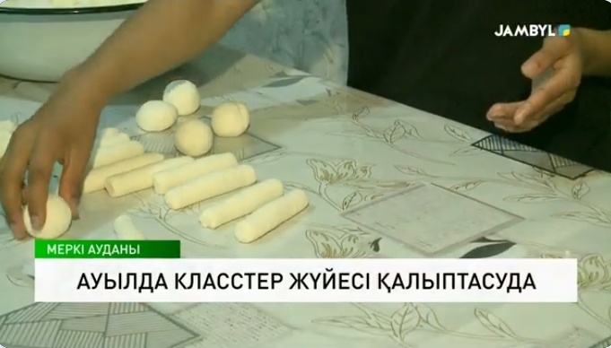 Ауылда класстер жүйесі қалыптасуда