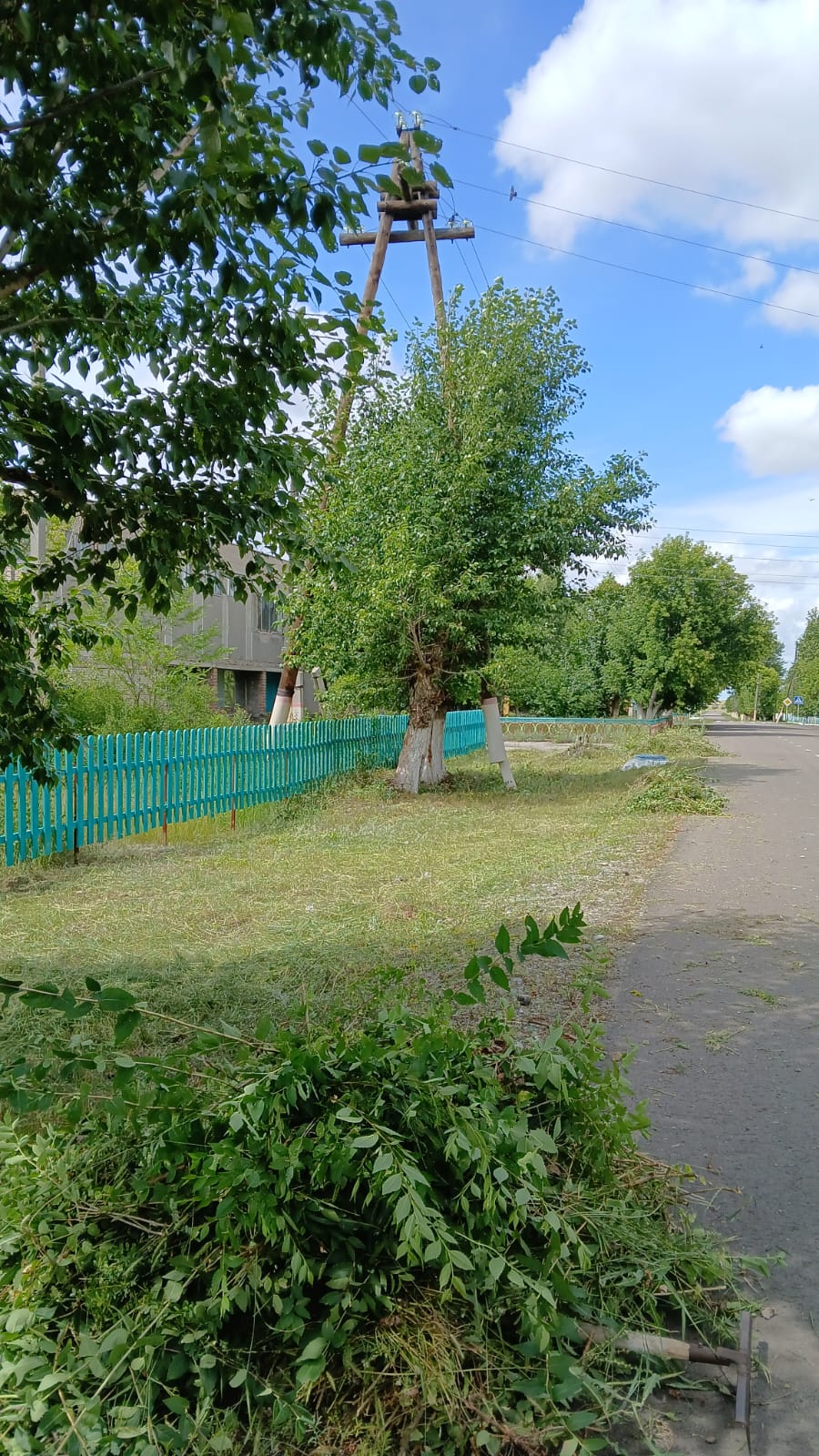 В рамках программы «Таза Қазақстан» ведутся работы по покосу травы вдоль дороги