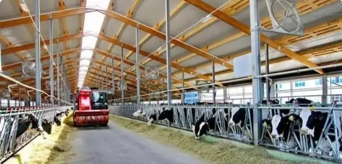 Казахстан может стать производственной базой нового агрорегиона Кувейта