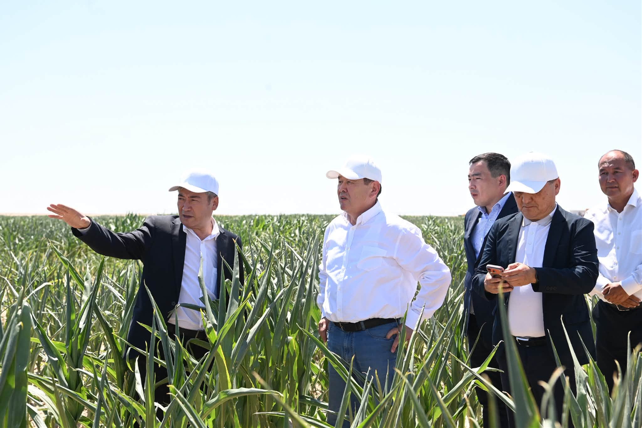 В Жалагаше активно реализуется проект агропромышленного кластера компании «Harvest agro»