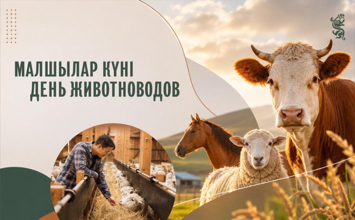 В Казахстане отмечается День животноводов