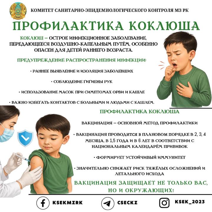 Профилактика коклюша