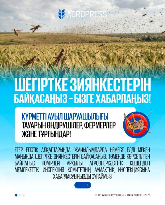 🚨ЕСЛИ ВЫ ОБНАРУЖИЛИ САРАНЧОВЫХ ВРЕДИТЕЛЕЙ – СООБЩИТЕ НАМ ОБ ЭТОМ!