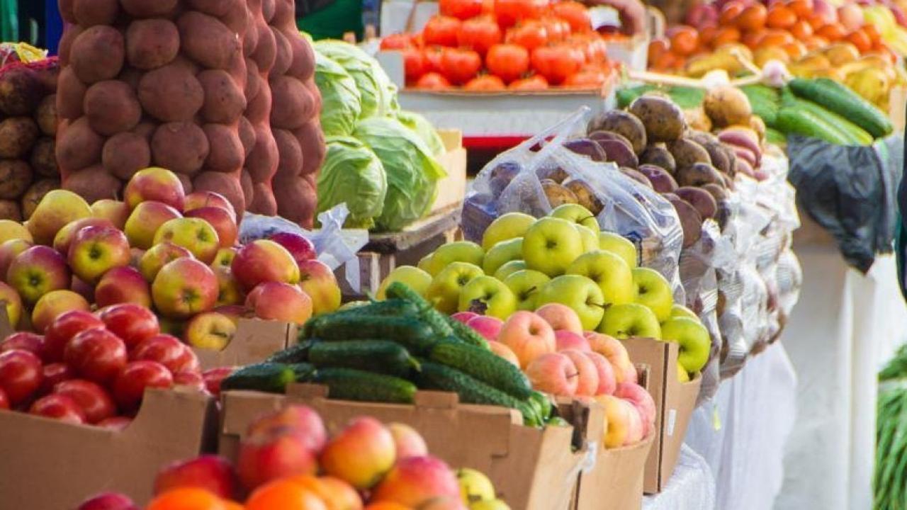 Сельскохозяйственная ярмарка пройдёт в Астане в эти выходные 