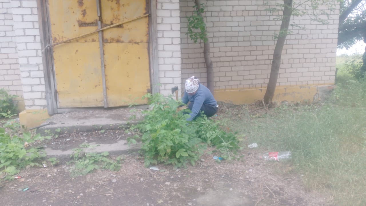 Таза Қазақстан — Чисто не там, где убирают, а там, где не мусорят.