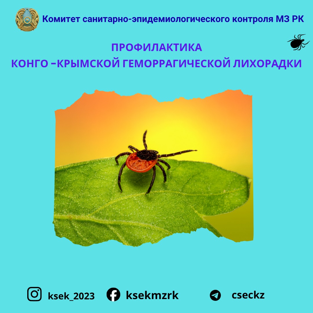 Профилактика Конго-Крымской геморрагической лихорадки