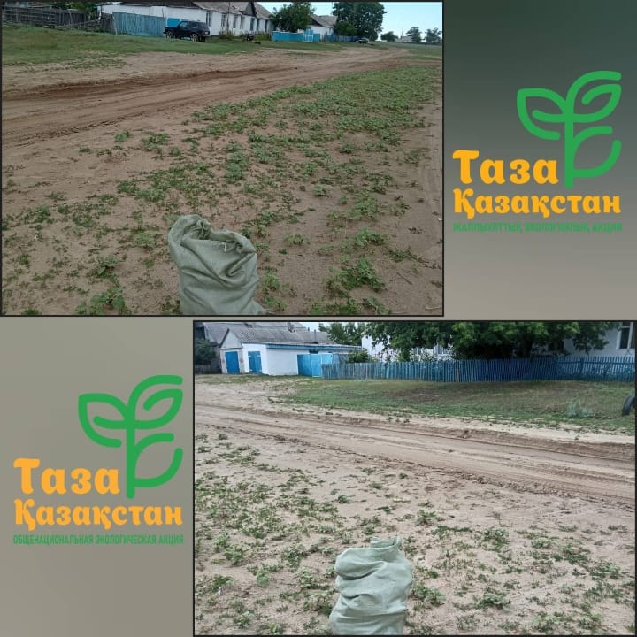 🌿 В селе Калинин проводится санитарная очистка территории В селе Калинин продолжаются работы по благоустройству и санитарной очистке территории. Проводится уборка улиц и общественных мест, уделяется особое внимание чистоте и благоустройству населённого пункта.