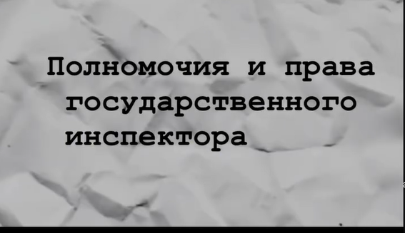 Общая информация о структуре Департамента