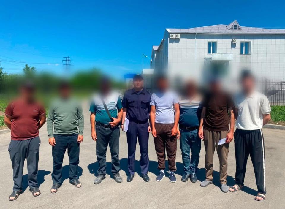 Строили домики для отдыхающих: на Бухтарме выявили 13 нелегально работавших иностранцев