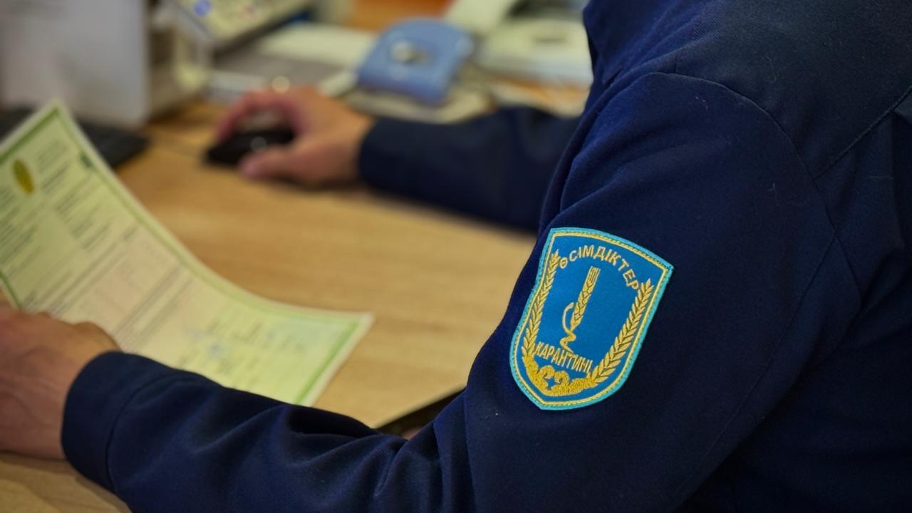 С начала 2026 года на границе с КНР пресечен незаконный ввоз более 113 тонн подконтрольной продукции