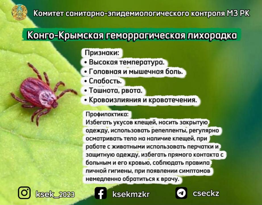 Конго-Крымская геморрагическая лихорадка
