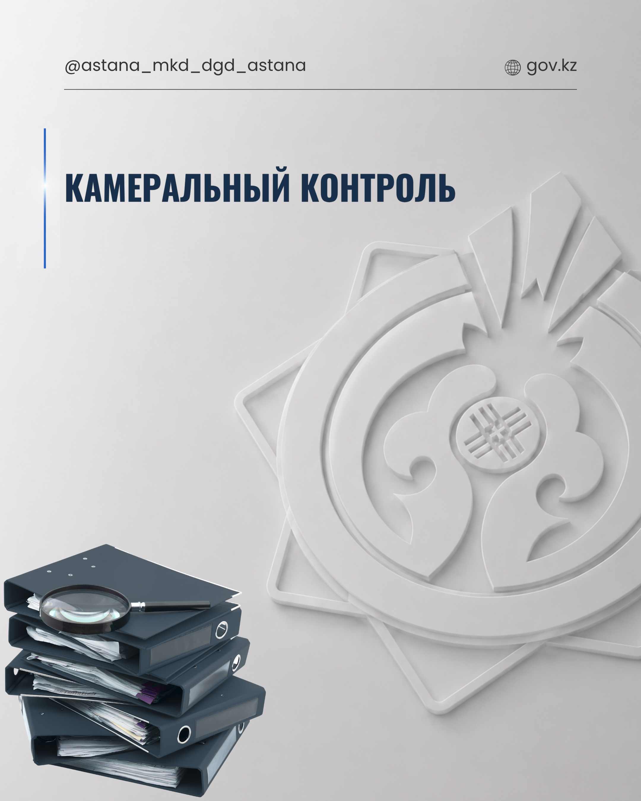 Камеральный контроль